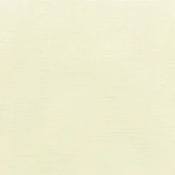 Sunbr Furn Solid Canvas 5404 Natural Fabric