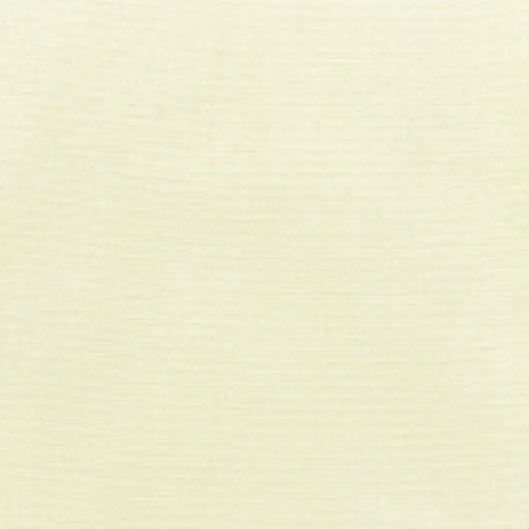 Sunbr Furn Solid Canvas 5404 Natural Fabric