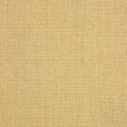 Sunbr Furn Spectrum 48082-0000 Almond Fabric