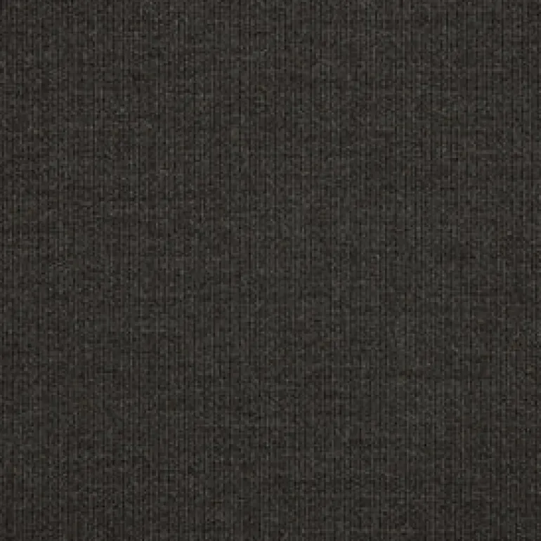 Sunbr Furn Spectrum 48085-0000 Carbon Fabric