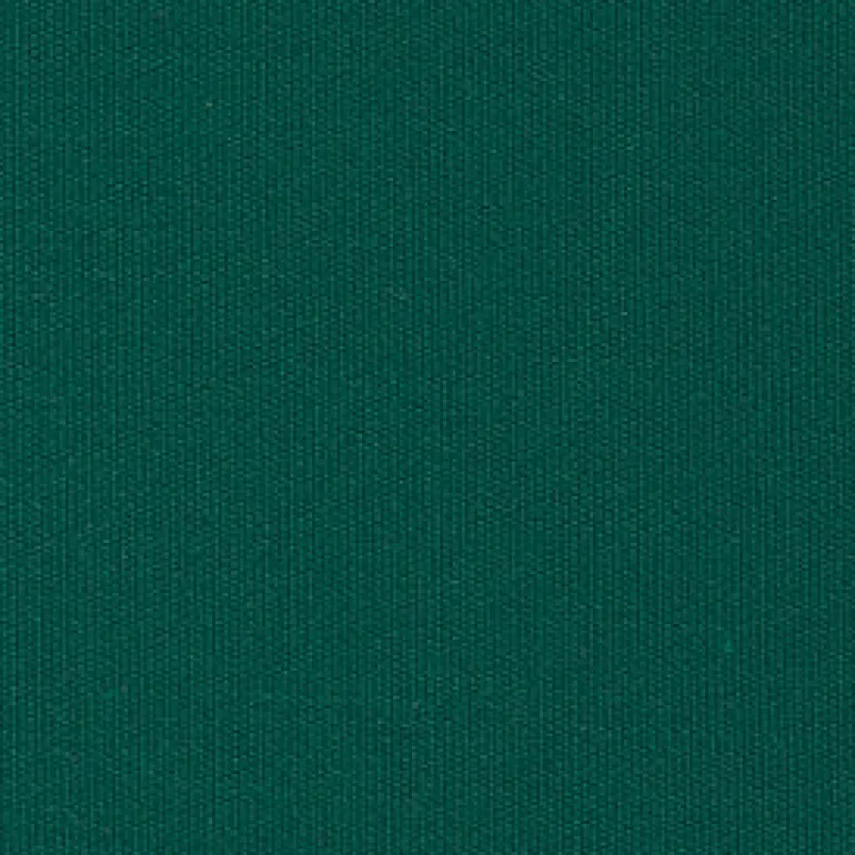 Sunbr 60" 6000 Erin Green Fabric