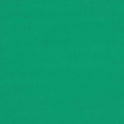 Sunbr 46" 4600 Erin Green Fabric