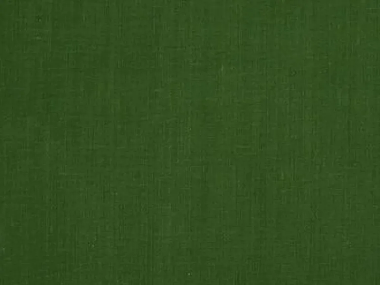 Sundance Verde Covington Fabric