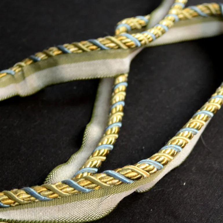 1008T 8821 Blue Gold Lip Cord