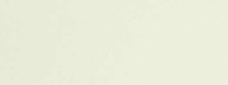 Tagami 12 Pearl Covington Fabric