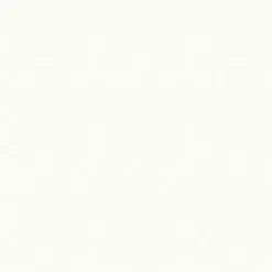 Talladega 61 White Fabric