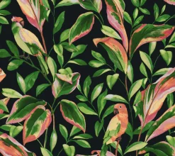 TC2651 Black Tropical Love Birds Wallpaper
