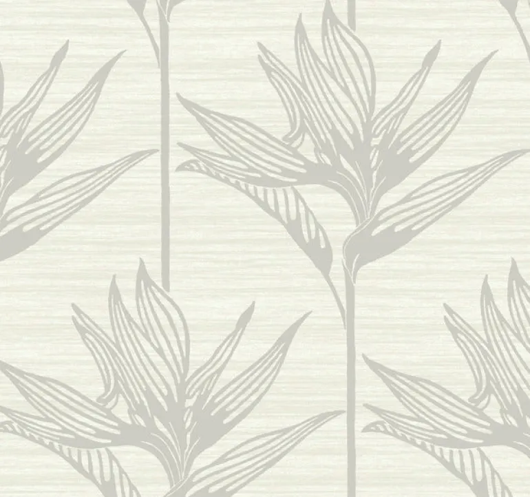 TC2673 Gray Bird Of Paradise Wallpaper