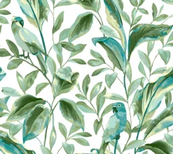 TC2654 White Aqua Tropical Love Birds Wallpaper