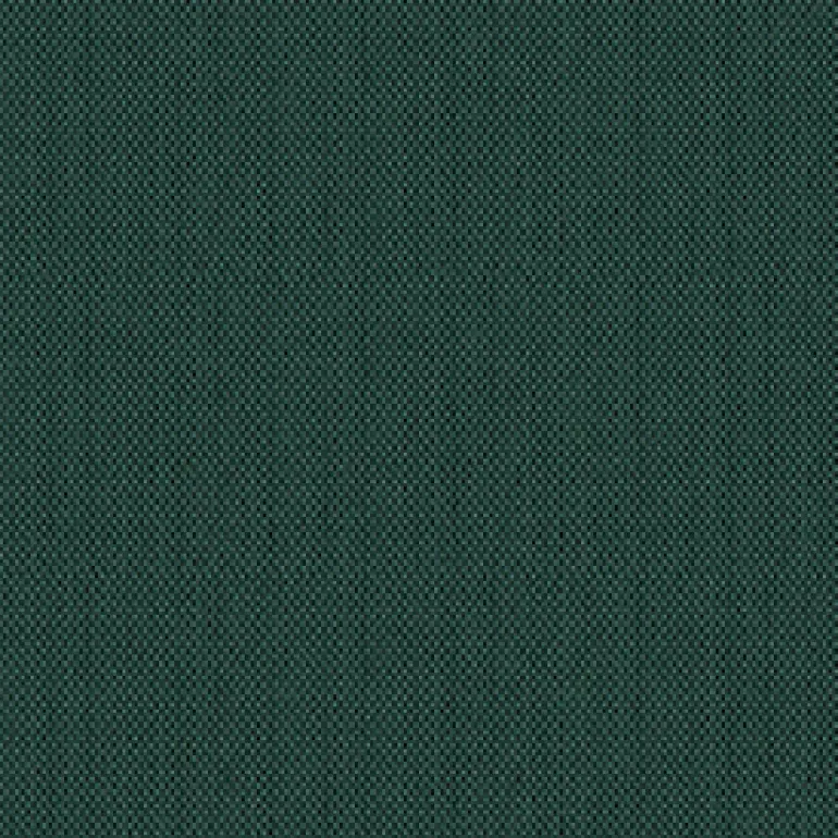 Top Notch1s 688 Forest Green Fabric