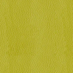 Turner 54 Citron Fabric