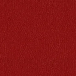 Turner 17 Garnet Fabric