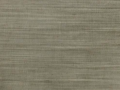 Tussah Soapstone Covington Fabric