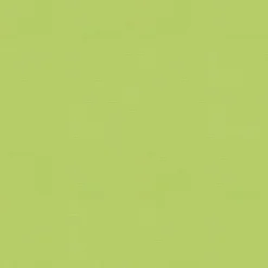 Vernon Citron P/K Lifestyles Fabric