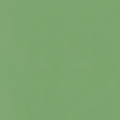 Vernon Leaf P/K Lifestyles Fabric