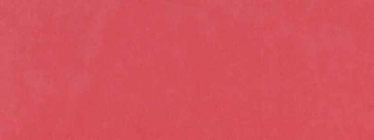 Vitani 350 Watermelon Covington Fabric
