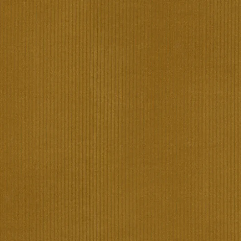 Wales Honey P/K Lifestyles Fabric