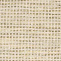 Well Kept Lime Swavelle Mill Creek Fabric