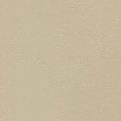 Windsong 754 Baja Tan Fabric