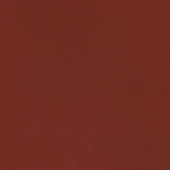 Windsong 737 Cajun Spice Fabric