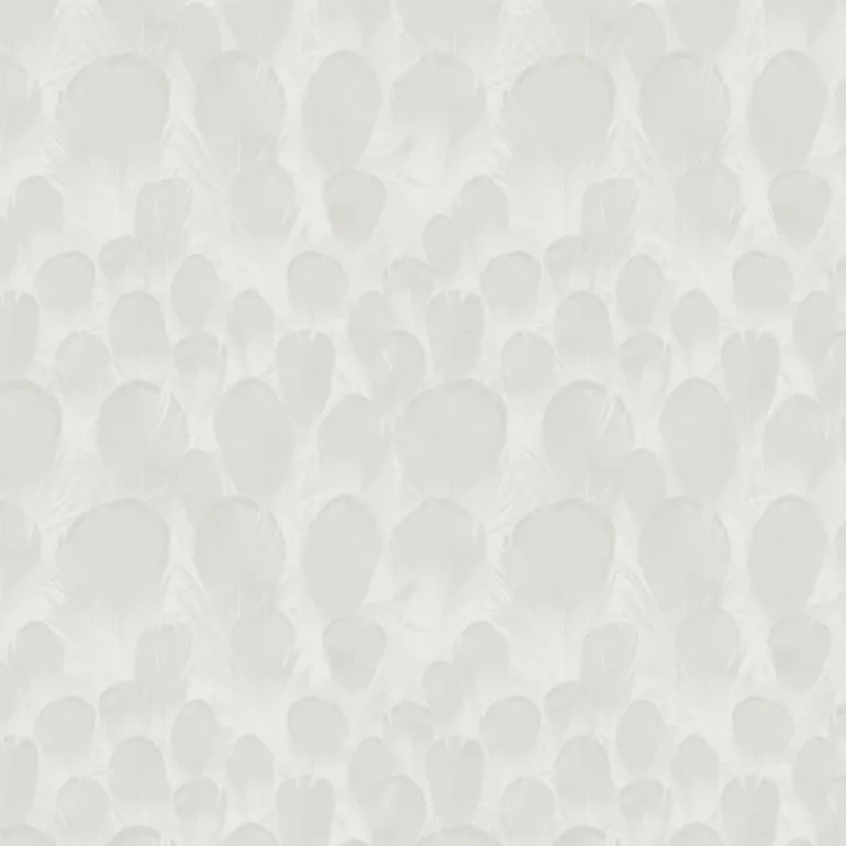 Y6230101 Feathers Wallpaper