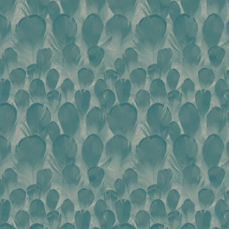 Y6230105 Feathers Wallpaper