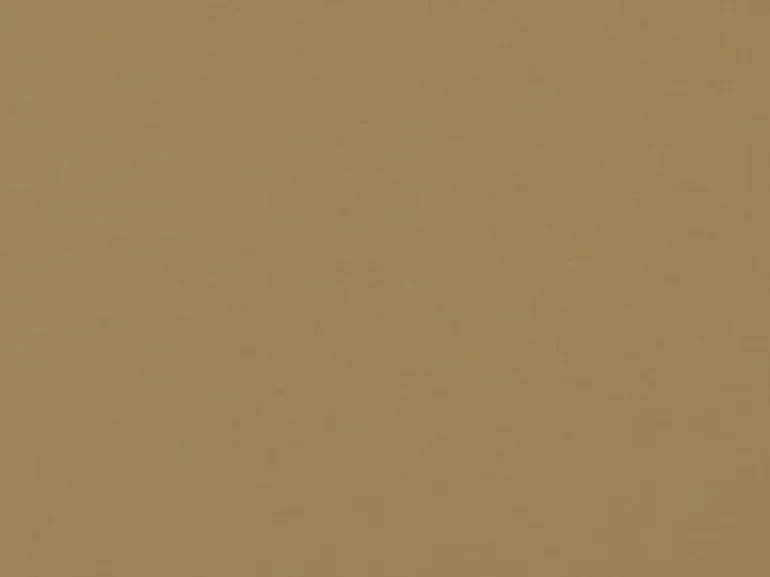 Zen Sandstone Covington Fabric